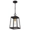 Quoizel Amberly Grove 1-Light Western Bronze Mini Pendant AMBL1508WT - alternate 3